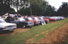 Line of HB Vivas