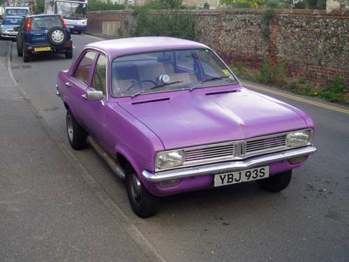 Purple Viva HC